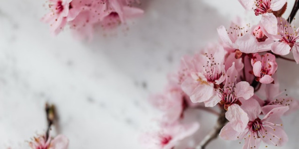 Cómo mantener viva la chispa del amor: Consejos para fortalecer tu relación en el mes  de amor y la amistad